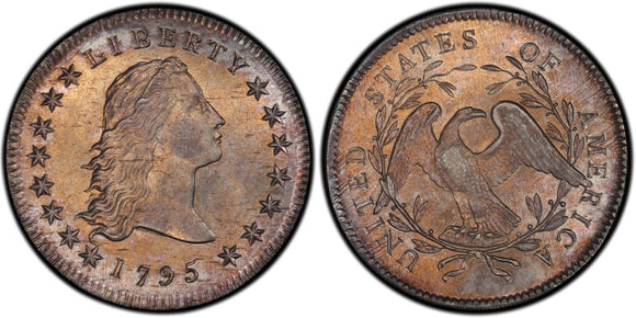 Flowing Hair Dollar (1794-1795)