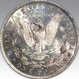 1884-O $1, DM MS 64 DM